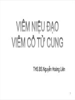 4  viêm niệu đạo do lậu 2018 ppt