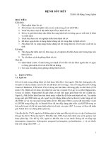 6  benh sot ret 2017