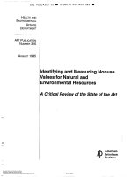 Api publ 316 1995 scan (american petroleum institute)