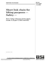 Bsi bs en 00818 7 2002 + a1 2008