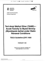 Api tr 407 1995 (american petroleum institute)