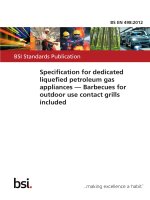 Bsi bs en 00498 2012
