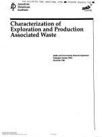 Api dr 53 1996 scan (american petroleum institute)