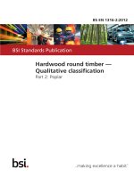 Bsi bs en 01316 2 2012