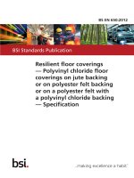 Bsi bs en 00650 2012