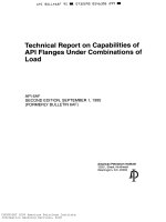 Api api 6af 1995 scan (american petroleum institute)