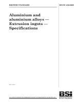 Bsi bs en 00486 2009