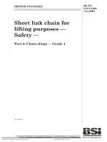 Bsi bs en 00818 5 1999 + a1 2008