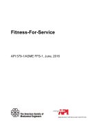 Api api 579 1 2016 (american petroleum institute)