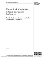 Bsi bs en 00818 3 1999 + a1 2008