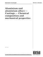 Bsi bs en 01706 2010