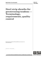 Bsi bs en 00523 2003