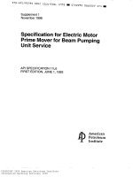 Api spec 11l6 1993 + sup1 1996 scan (american petroleum institute)