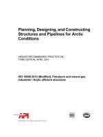 Ansi api rp 2n 2015 (american petroleum institute)