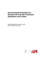 Api rp 51r 2009 (american petroleum institute)