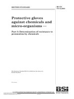 Bsi bs en 00374 3 2003