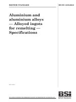 Bsi bs en 01676 2010