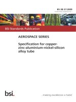 Bsi bs 3b 27 2009 (2014)