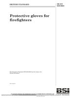 Bsi bs en 00659 2003