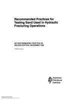 Api rp 56 1995 (2000) scan (american petroleum institute)