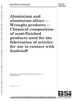 Bsi bs en 00602 2004