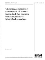 Bsi bs en 01406 2009