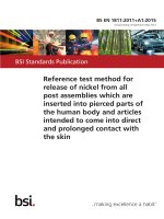 Bsi bs en 01811 2011 + a1 2015