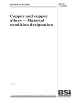 Bsi bs en 01173 2008