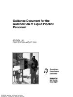 Api publ 1161 2000 scan (american petroleum institute)