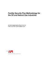 Api rp 781 2016 (american petroleum institute)