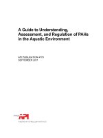 Api publ 4776 2011 (american petroleum institute)