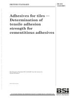 Bsi bs en 01348 2007