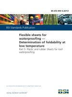 Bsi bs en 00495 5 2013