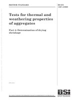 Bsi bs en 01367 4 2008 (2009)