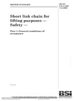 Bsi bs en 00818 1 1996 + a1 2008