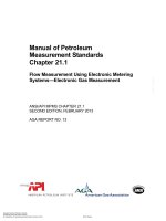 Api mpms 21 1 2013 (american petroleum institute)