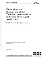 Bsi bs en 00573 1 2004