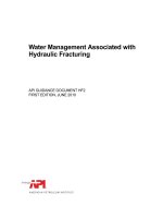 Api gd hf2 2010 (american petroleum institute)