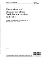 Bsi bs en 00754 3 2008