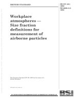 Bsi bs en 00481 1993 (1999) bs 6069 3 5 1993