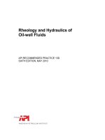 Api rp 13d 2010 (american petroleum institute)