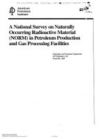 Api publ 7101 1997 scan (american petroleum institute)