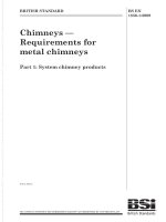 Bsi bs en 01856 1 2009 (2010)