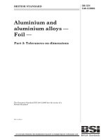 Bsi bs en 00546 3 2006