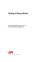 Api rp 13j 2014 (american petroleum institute)