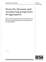 Bsi bs en 01367 6 2008 (2009)