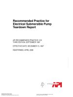 Api spec 11s1 1997 (american petroleum institute)