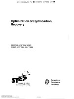 Api publ 1628c 1996 scan (american petroleum institute)