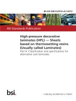 Bsi bs en 00438 9 2010 + a1 2013