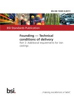 Bsi bs en 01559 3 2011